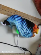 Gato cargador USB juguete interactivo de disquete pez gato realista juguete de gatos domésticos masticar morder juguetes suministros para mascotas gatos perro de juguete