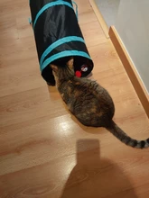 Juguete de túnel para mascotas, tubos de juego con 2 agujeros, bolas plegables, antiarrugas, para cachorros, hurones y conejos