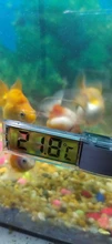 Medidor de temperatura electrónico multifuncional LCD 3D, medidor de temperatura de tanque de peces, termómetro de acuario yu-home