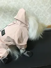 Ropa de perro impermeable de malla transpirable, mono absorbente para el sudor, abrigo reflectante para mascotas, Otoño e Invierno