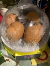 7 incubadora de huevos de pollo aves huevo incubadora automática inteligente codorniz loro incubadora Hatcher pollo pato paloma incubadoras