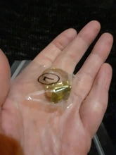 FDLK Retro de las mujeres de la joyería Vintage corte de la princesa diamante amarillo de imitación de regalo anillos de boda Banda, tamaño 5-12