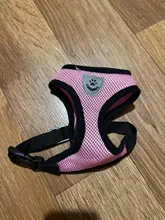 Breathable Mesh Small Dog Pet Harness and Leash Set Puppy Cat Vest Harness Collar For