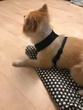 Perro cachorro ajustable para cinturón de seguridad de coche y arnés para perros y gatos, vehículo de mascotas para cinturón de seguridad/cinturón de vida Teddy Yorkie Leash