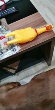 Dog-Toy Rubber Pet-Squeaker-Toys Screaming Chicken Interactive-Chewing Funny Cleaning-Teeth