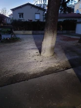 LED Headlight Bulbs Led-Lamps Moto Hi-Lo H6 Ba20d Conversion-Kit 6000K Beam 1200LM