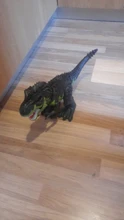 Dinosaurio tiranosaurio grande de 47cm para niños, modelo de Robot de dibujos animados, sonido eléctrico, juguete educativo para caminar