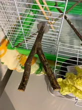 Pet Parrot Raw Wood Fork Stand Rack Toy 1Pcs 15cm Branch Perches For Bird Hamster Cage