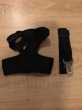 Perro cachorro ajustable para cinturón de seguridad de coche y arnés para perros y gatos, vehículo de mascotas para cinturón de seguridad/cinturón de vida Teddy Yorkie Leash