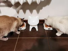 Cuencos elevados para gatos, cuencos dobles y duraderos para perros y gatos, soporte elevado, suministros de alimentación y riego para perros, suministros para mascotas