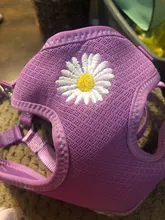 Chaleco para gatos mascota con arnés Floral para perros pequeños, conjunto de arnés y correa de malla acolchada, para cachorros, Chihuahua, Yorkie 10E