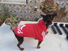 Adidog-ropa de invierno para mascotas, sudaderas pequeñas y de perro de talla mediana, ropa para cachorros, sudadera para perros, Chihuahua, novedad de 2020