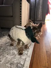 Scarf Jacket Dogs French Bulldog Winter Plush-Coat Pet-Dog Cotton Warm Thick for Puppy-Ropa-Perro