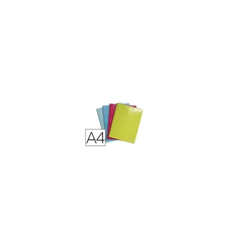 Showcase folder EXACOMPTA 40 polypropylene cases DIN A4 assorted colors 12 PCs
Showcase folder EXACOMPTA 40 polypropylene cases DIN A4 assorted colors 12 PCs