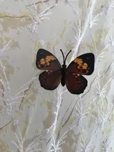 Wall-Stickers House-Decoration Living-Room Butterfly 12PCS Pvc 3d for High-Quality