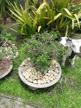 LA-Máquina arcade Pandora Box DX 2992 juegos en 1, recreativa equipada con una placa JAMMA, posee opción para guardar el progreso del juego, multijuegos, PCB