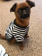 T-Shirt Vest Dogs Thin Striped Pet Small Soft for And Medium Dog-Cloth Round-Neck