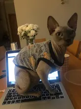 Hoodie Vest Shirt Dogs-Coat Puppy Fleece Chihuahua Pet-Dog Warm Dog for Cat Clothing