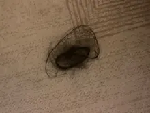 Mechones de cabello lacio brasileño, extensiones de cabello humano virgen, precio al por mayor, 2, 3, 4, 5, 10 mechones/lote