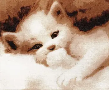 713 hobby & pro 'Tasty 'embroidery set, 36*30 cm
713 hobby & pro 'Tasty 'embroidery set, 36*30 cm