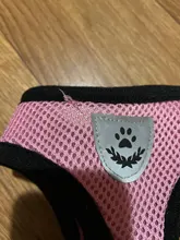 Breathable Mesh Small Dog Pet Harness and Leash Set Puppy Cat Vest Harness Collar For