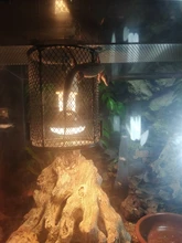 Reptile Heater Guard Heating Bulb Lamp Enclosure Cage Protector Metal Mesh Lamp Cover