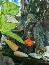 Paisajismo del tanque de peces, decoración de acuario con forma volcánica, adornos de rocalla, herramienta de oxigenación, 2021