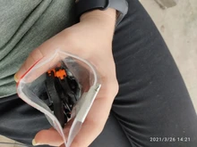 Conjunto de 6 unids/set, abrazaderas Micro de muelle, pinzas de plástico de nailon DIY, pinzas de muelle para carpintería para fondo de estudio de fotografía, abrazadera de 6,5 cm