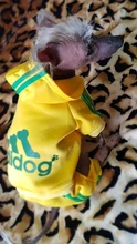 Para Perros Adidog ropa de perro mascota Sudadera con capucha para pequeño mediano perros invierno nueva de cuatro patas de algodón cómodo cálido ropa osito cachorro ropa
