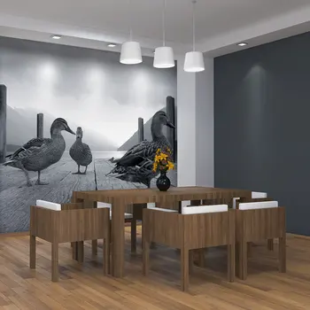 Wall mural-ducks-350x270 cm
Wall mural-ducks-350x270 cm