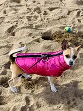 Ropa para perros pequeños ropas impermeables para perro cachorro mascota chaqueta invierno cálido chaleco perro abrigo ropa para Chihuahua Bulldog Francés