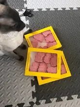 Truest-cortador de pata de Paw para pastel, conjunto de cortadores de galletas, molde de plástico 3D para hornear, herramientas de decoración