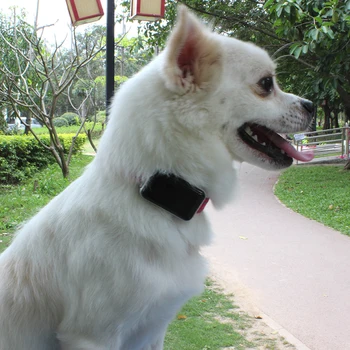 AODIHENG Mini Pet Tracker Branded Premium Pet Collar Tracking Locator with Real-Time Remote Monitoring on Free IPMI Anti-Lost
AODIHENG Mini Pet Tracker Branded Premium Pet Collar Tracking Locator with Real-Time Remote Monitoring on Free IPMI Anti-Lost