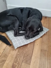 Cama para perros de invierno, camas suaves para perros y mascotas, esterilla, sofá cálido, cojín de Mascota, colchón para perros pequeños, medianos, grandes, gatos, Chihuahua, Cama para Perro