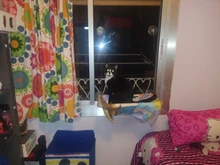 Hammock Hanging-Beds Pet Window Cute Bearing Sunny-Seat Cat Comfortable Soft 20kg Pet-Shelf