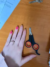 Cortauñas para acicalamiento de conejos, herramientas para mascotas, cortauñas, tijeras de animales, pata de loro, Gerbid, cortador de aves, tijeras para perros