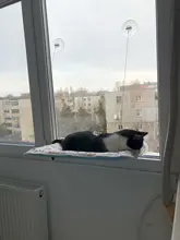 Hammock Hanging-Beds Pet Window Cute Bearing Sunny-Seat Cat Comfortable Soft 20kg Pet-Shelf