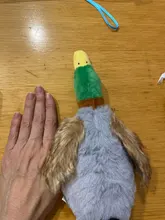 Peluche de felpa con queso sonriente para perros, juguete de perro chillón para cachorros de tamaño mediano y grande, Toro francés, Russell