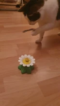 Lindo eléctrico rotatorio de mariposa pájaro perro gato gracioso juguetes juguete para rascar para gato pequeño perro gatos de inteligencia que contengan