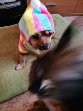 Mono de lana suave para perro, ropa de invierno para perros, pijamas para perros pequeños, trajes para mascotas, ropa con capucha para perros