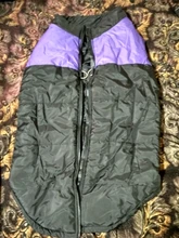 Jacket Puppy-Clothing Dog-Coat Dogs Golden-Retriever Waterproof Winter Pet-Vest Small