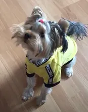 Puppy-Outfit Dogs-Clothing Chihuahua Dog Hoodie Pets Spring Small Fashion Medium