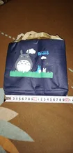Bolsa de lona Oxford Totoro para el almuerzo, bolso nuevo bolso de comida, caja para mantener el calor, garantía de 3 años, 1 unidad