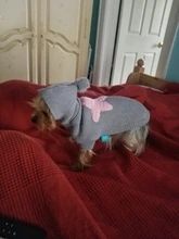 Sweater Puppy-Dog French Bulldog PETCIRCLE Teddy Chihuahau Winter Autumn Starfish Nordic