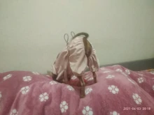 Ropa de perro impermeable de malla transpirable, mono absorbente para el sudor, abrigo reflectante para mascotas, Otoño e Invierno