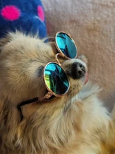 Gafas de protección contra el desgaste para perros y gatos adorables, productos para mascotas, protección contra el desgaste, gafas de sol, fotos, accesorios para mascotas, 1 ud.
