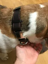 Pet-Id-Tags Collar Free-Engraved Customized Genuine-Leather Puppy-Nameplate Dog Adjustable