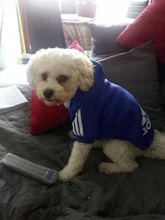 Adidog-ropa de invierno para mascotas, sudaderas pequeñas y de perro de talla mediana, ropa para cachorros, sudadera para perros, Chihuahua, novedad de 2020