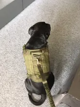 Chaleco táctico para perro, ropa de perro militar transpirable, arnés K9, tamaño ajustable, entrenamiento, caza, Molle, arnés táctico para perro