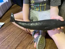 Figura de acción de vida marítima océano de gran tamaño, juguetes de modelo Animal para niños, colección de figuras de ballena, juguetes educativos